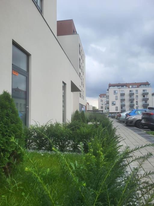 Olive Tree Apartment - Klimatyzacja - Air Conditioning-Self-Check-In Katowice Buitenkant foto