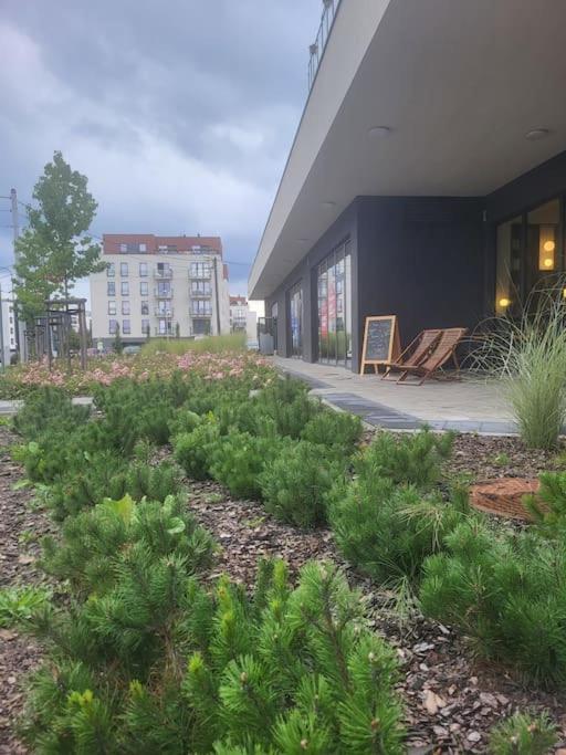 Olive Tree Apartment - Klimatyzacja - Air Conditioning-Self-Check-In Katowice Buitenkant foto